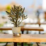 Barbarossa Special Class Hotel Assos