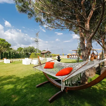 Barbarossa Special Class Behram