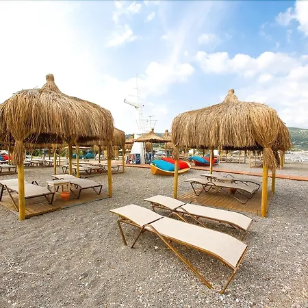 Barbarossa Special Class *