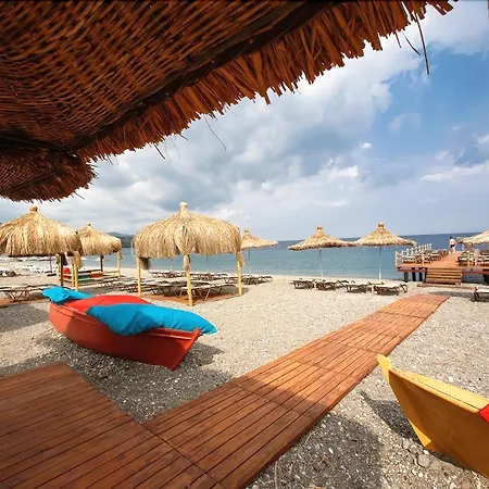 Barbarossa Special Class Assos