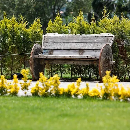 Barbarossa Special Class Assos