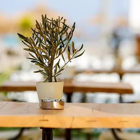 Barbarossa Special Class Otel Behram