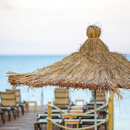 Barbarossa Special Class *